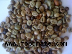 Buon Me Thuot unwashed Robusta green coffee beans, Grade 1, Screen 18