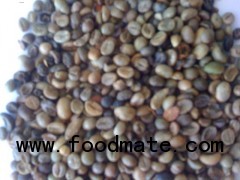 Buon Me Thuot unwashed Robusta green coffee beans, Grade 2, Screen 13