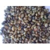 Buon Me Thuot unwashed Robusta green coffee beans, Grade 2, Screen 13