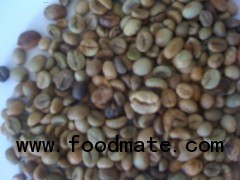 Buon Me Thuot unwashed Robusta green coffee beans, Standard