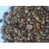 Buon Me Thuot unwashed Robusta green coffee beans, Standard