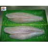 Premium Well trimmed White pangasius fillet (TRA-BASA-SWAI- CREAM DORY FILLET)