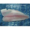 Premium UN trimmed White pangasius fillet (TRA-BASA-SWAI-CREAM DORY FILLET)