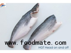 Pangasius HGT - head on/off- (TRA-BASA-SWAI-CREAM DORY FISH)
