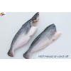 Pangasius HGT - head on/off- (TRA-BASA-SWAI-CREAM DORY FISH)