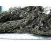 Sargassum seaweed