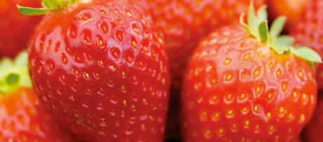 strawberry