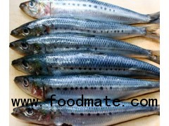 SARDINES