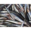 FROZEN ANCHOVIES