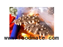 Frozen Dry Sea Cucumber