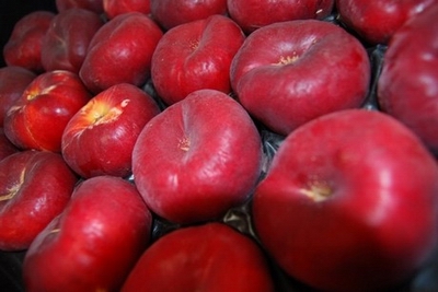 nectarines