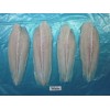 frozen pangasius fish