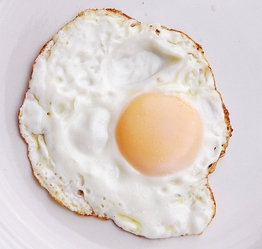 egg