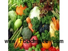 Fresh Vegetables