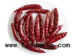 red hot tianying chilli