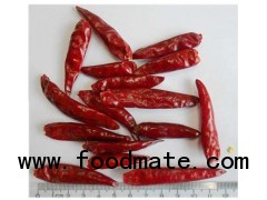 red hot new generation chilli