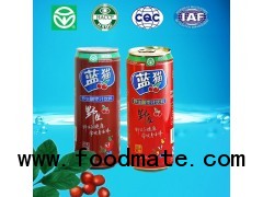 480ml Can natural jujube drink