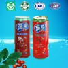 480ml Can natural jujube drink