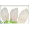 Frozen pangasius fillet