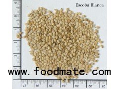 White natural sesame seeds