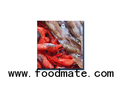 Frozen seafood - squid, shrimp, crabs, ray, octopus, sea cucumber