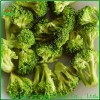 Freeze Dried Broccoli