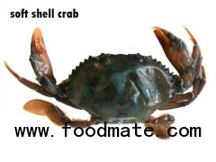 soft shell crab
