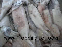 Diced frozen giant squid