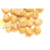 CHESTNUT KERNEL