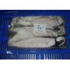 SQUID WHOLE - LOLIGO DUVACELLI