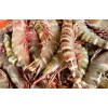 Tiger Prawns