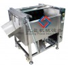 Potato Washing & peeling Machine JYTP-80