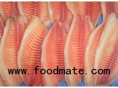 Frozen Tilapia Fillet Boneless Skinless with CO treated