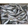 Frozen Horse Mackerel Fish