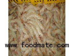 FARM SHRIMP