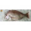 SEA BREAM