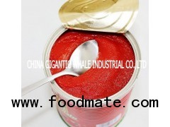 1000g/tin Tomato Paste 28-30% BRIX 2012 CROP