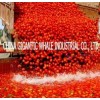 36-38%,28-30% and 30-32%Tomato Paste In 220L Drum