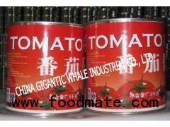 3KG/TIN Tomato Paste 28-30% BRIX 2012 CROP