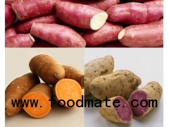 VIETNAMESE FRESH SWEET POTATO