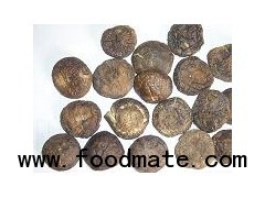 Dehydrated Shiitake