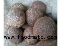 Coconuts from Nigaragua
