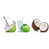 Fresh & Frozen Coconut Products