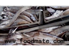 Ribbonfish From Senegal