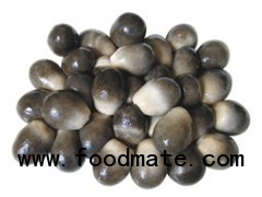 SALTED STRAW MUSHROOM IN DRUM