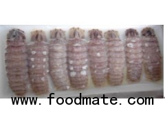 Frozen Squilla Meat