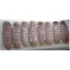 Frozen Squilla Meat