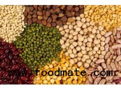 Sell pulses-Peas, beans and lentils
