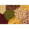 Sell pulses-Peas, beans and lentils