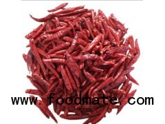 Dry Red Chilli